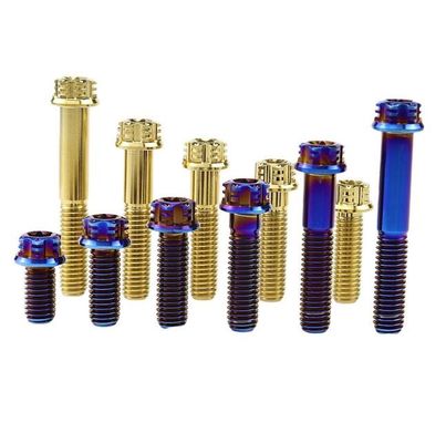 Hợp kim titan Micro Arc Anodizing Mao Tự khoan Vít tự khai thác Thép không gỉ